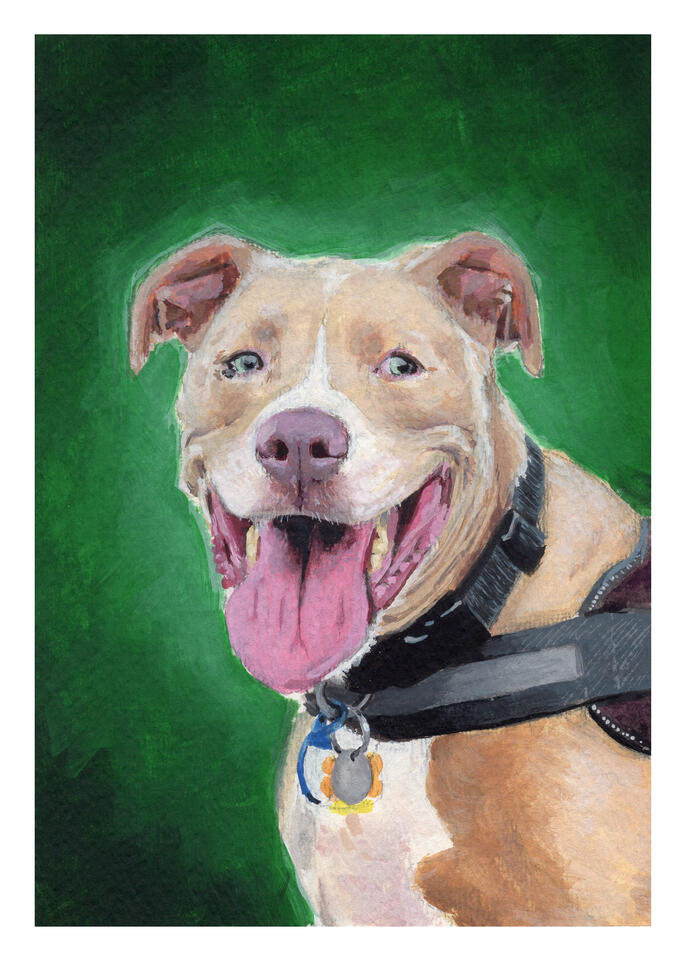 Rowdy, 5"x7" gouache on paper