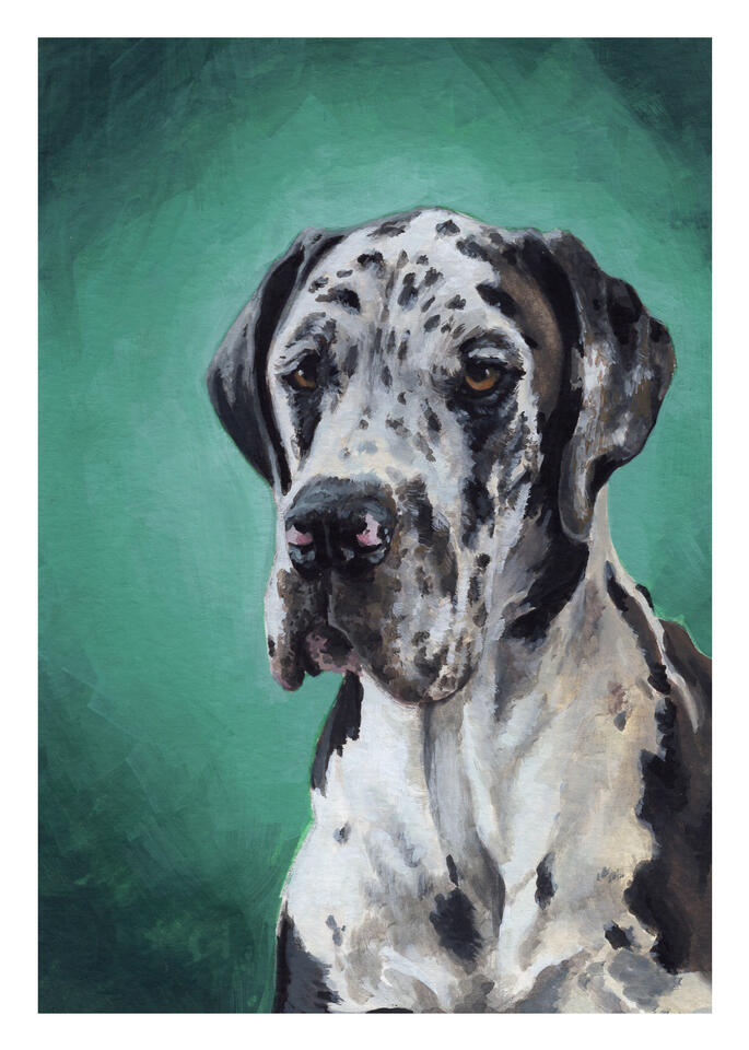 Kobe, 5"x7" gouache on paper