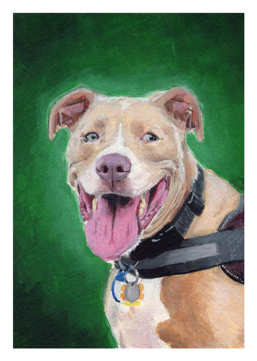 Rowdy , 5&quot;x7&quot; gouache on paper