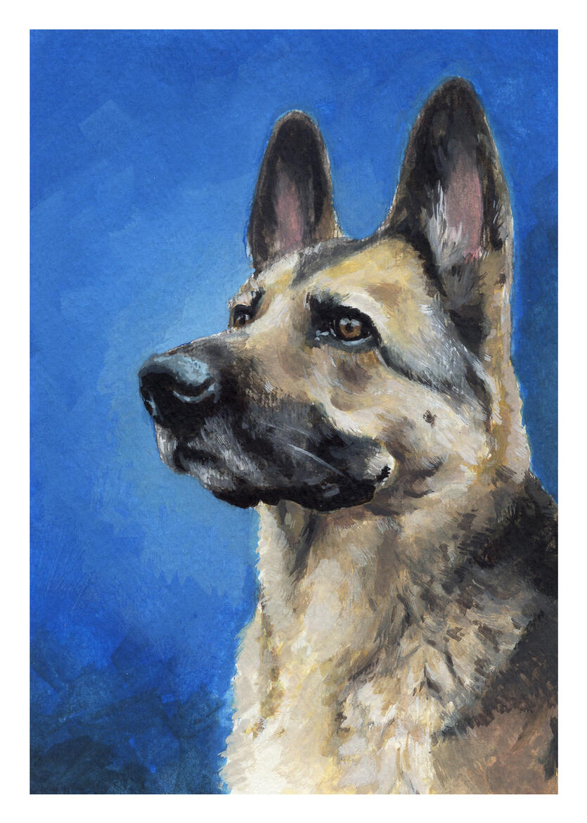 Fin, 5&quot;x7&quot; gouache on paper